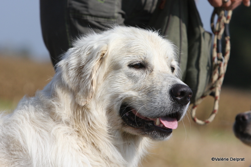 Field Erstein 09 (162).JPG